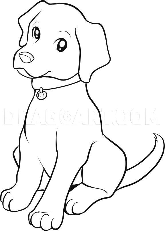 Desenho de Cachorro: Cachorro Lab Retriever para desenhar