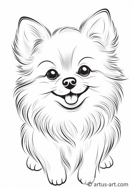 Desenho de Cachorro: Cachorro Pomerânia para desenhar