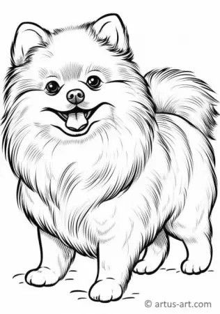 Desenho de Cachorro: Cachorro Pomerânia para desenhar