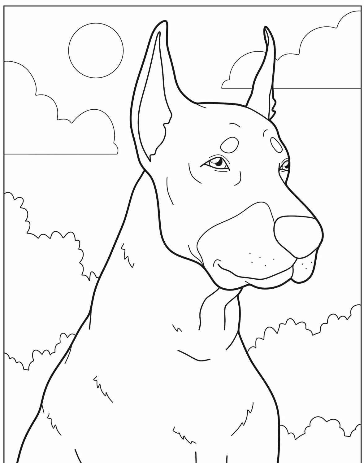 Desenho de Cachorro Bulldog para imprimir e colorir