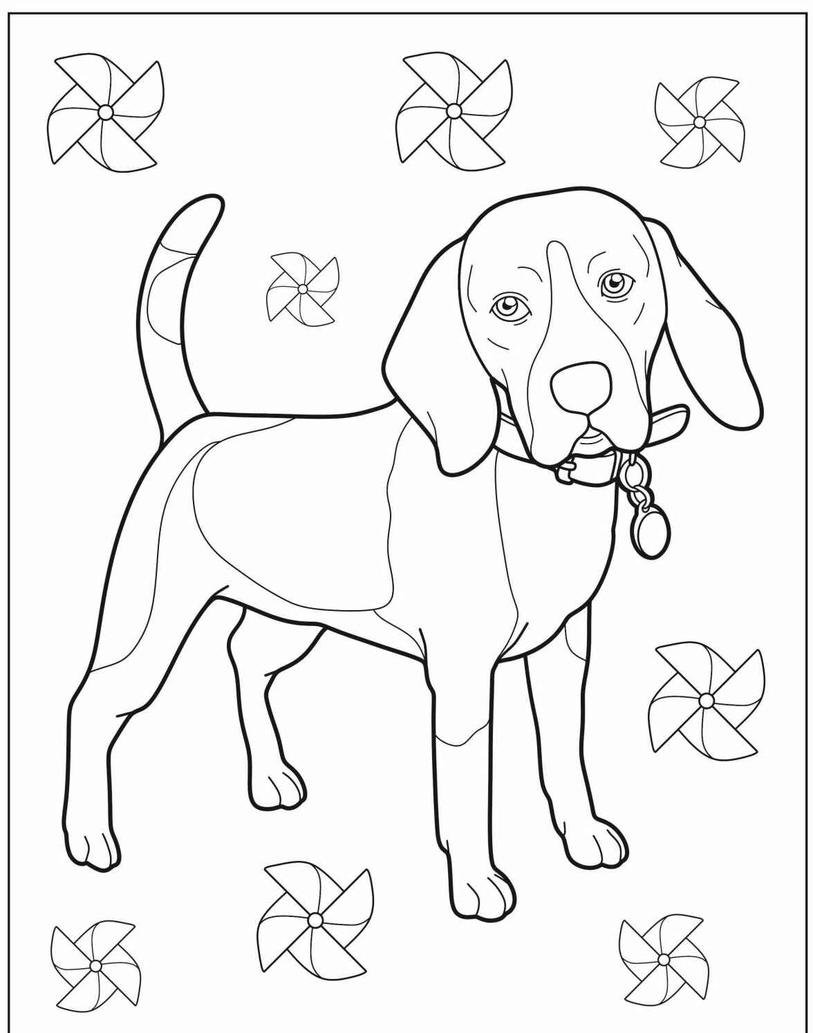 Desenho de Cachorro Beagle para imprimir e colorir