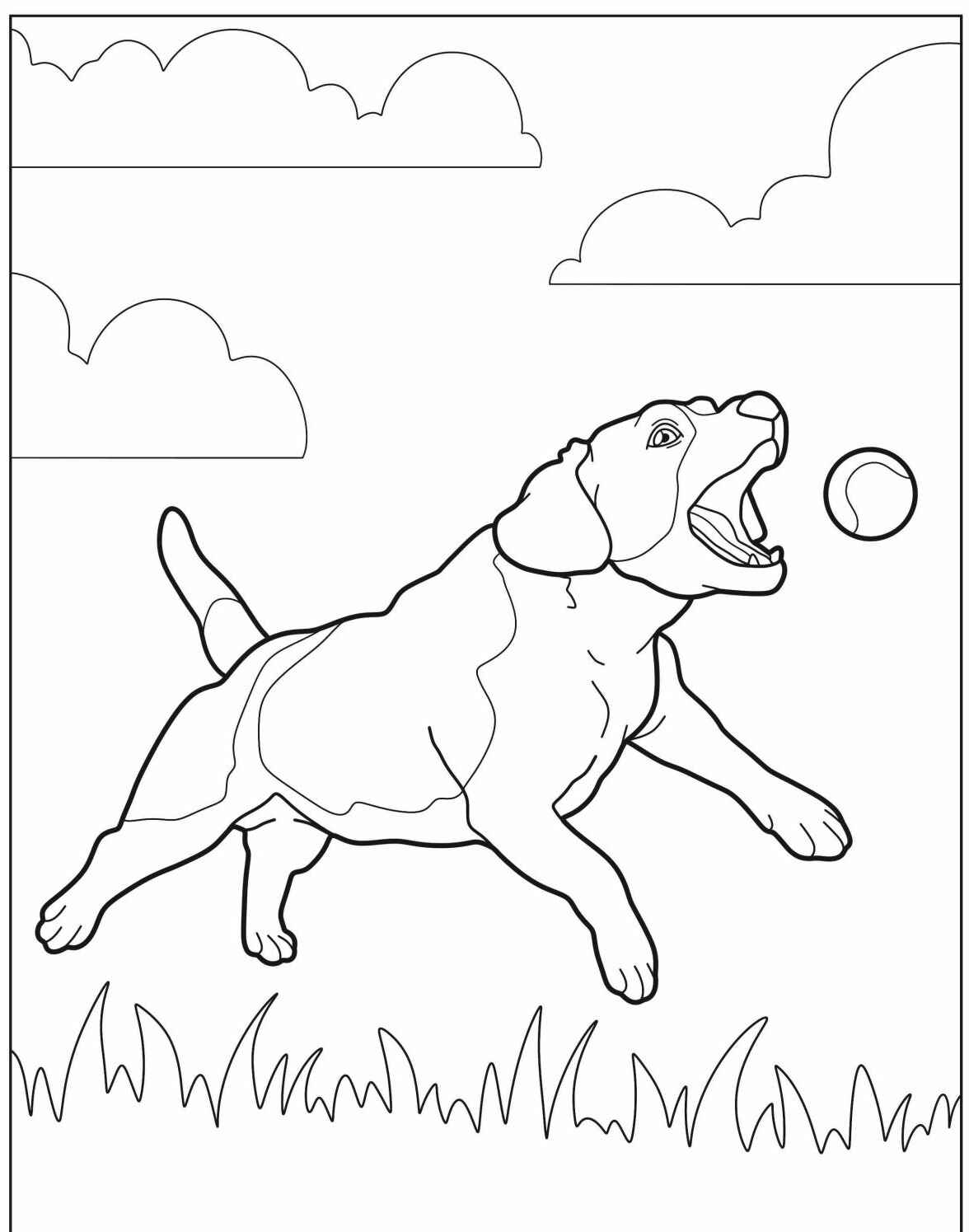 Desenho de Cachorro Labrador correndo para imprimir e colorir