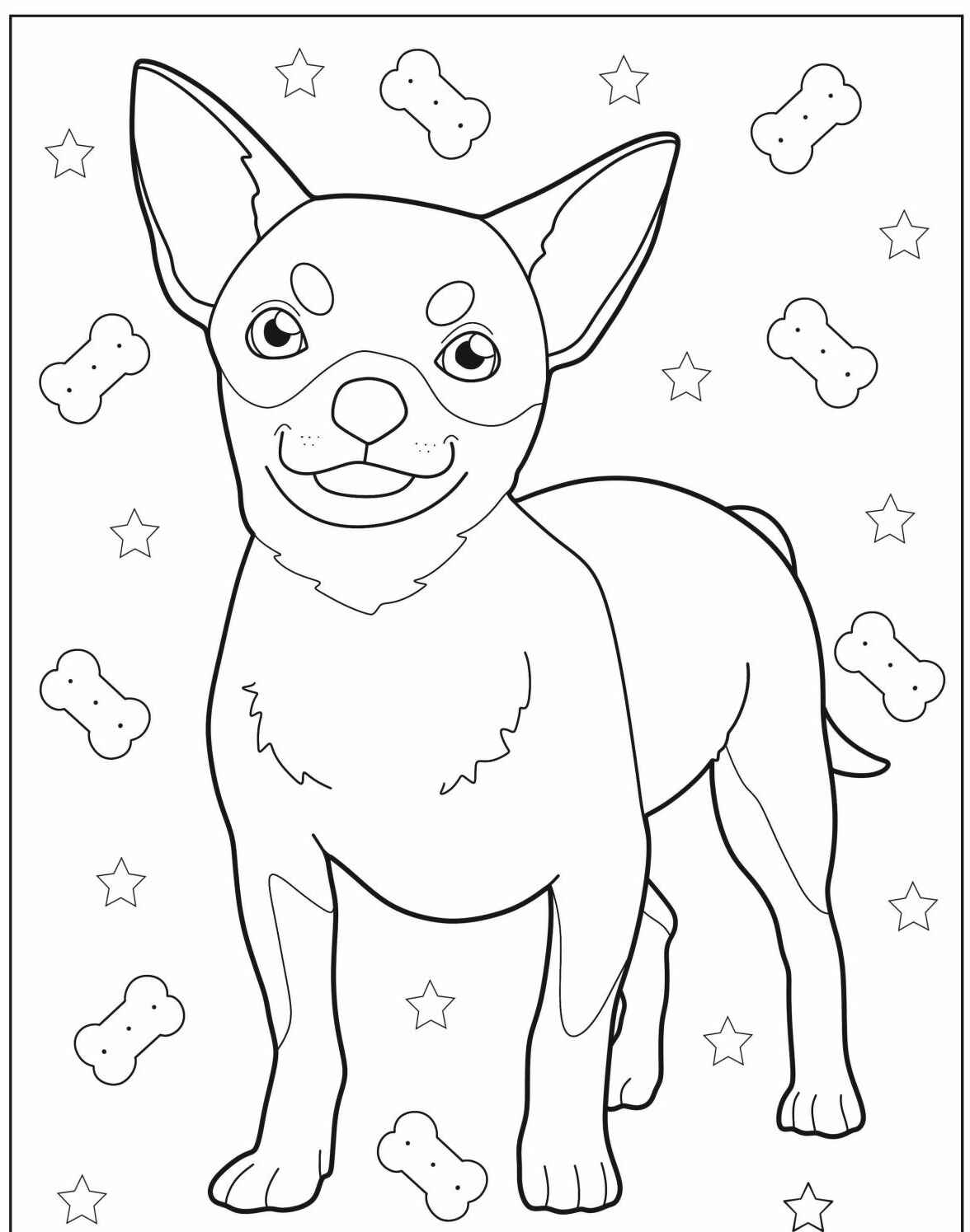 Desenho de Cachorro Chihuahua para imprimir e colorir