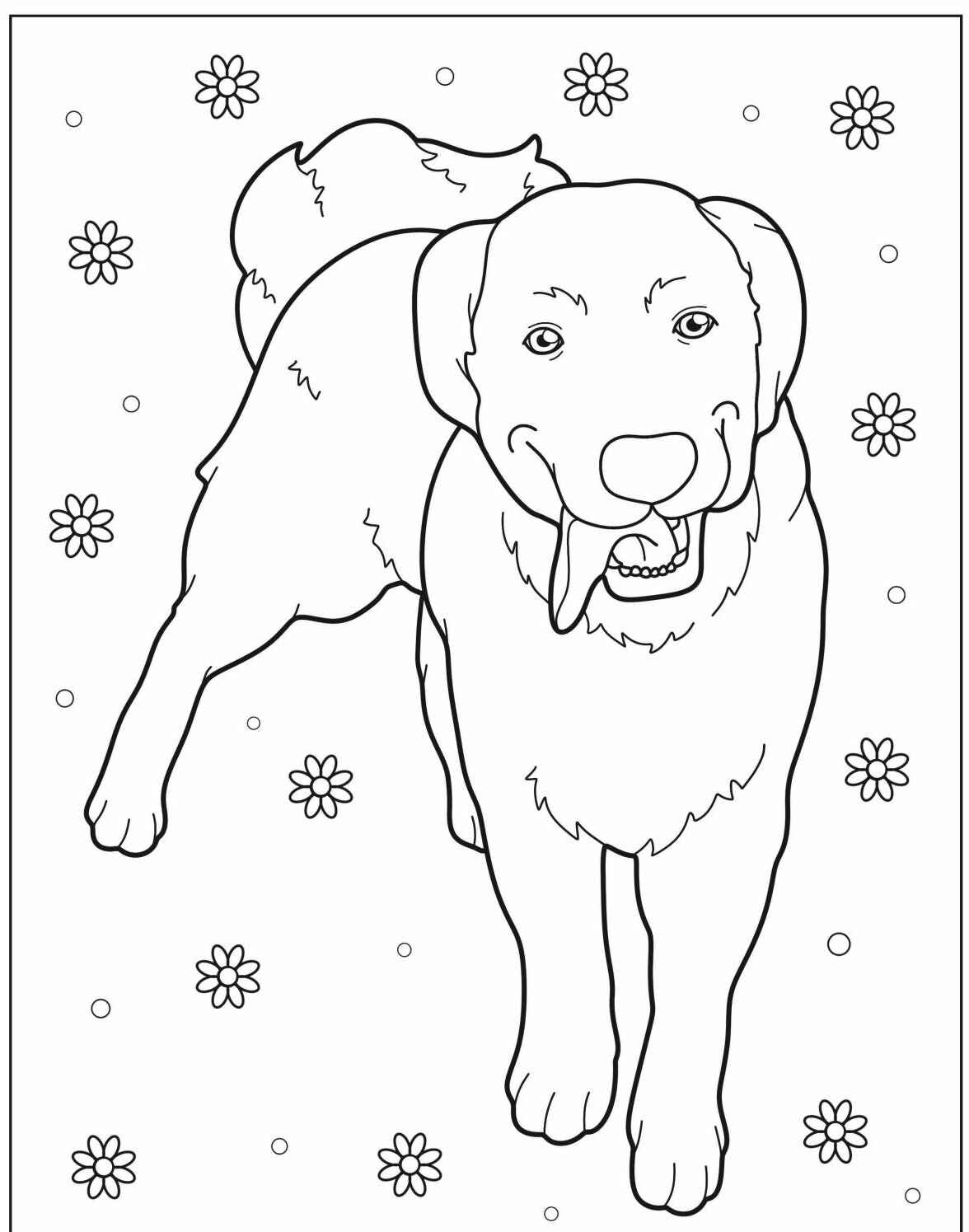 Desenho de Cachorro Golden Retriever para imprimir e colorir