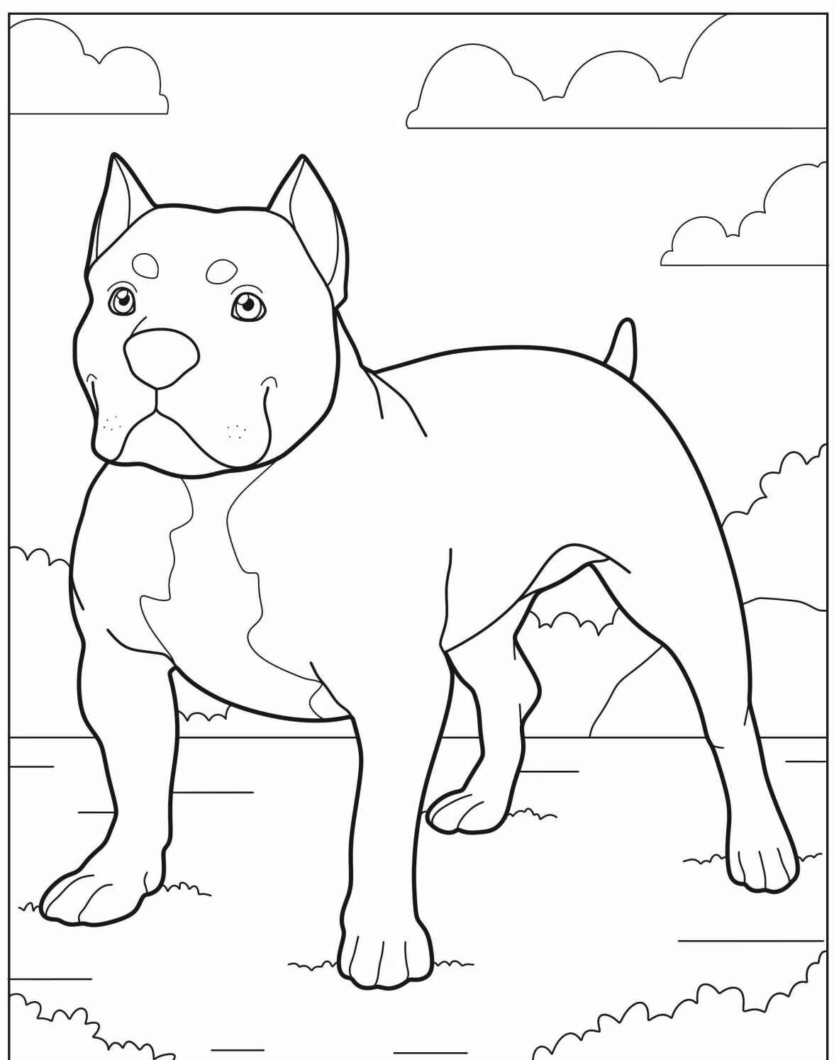 Desenho de Cachorro Pitbull para imprimir e colorir