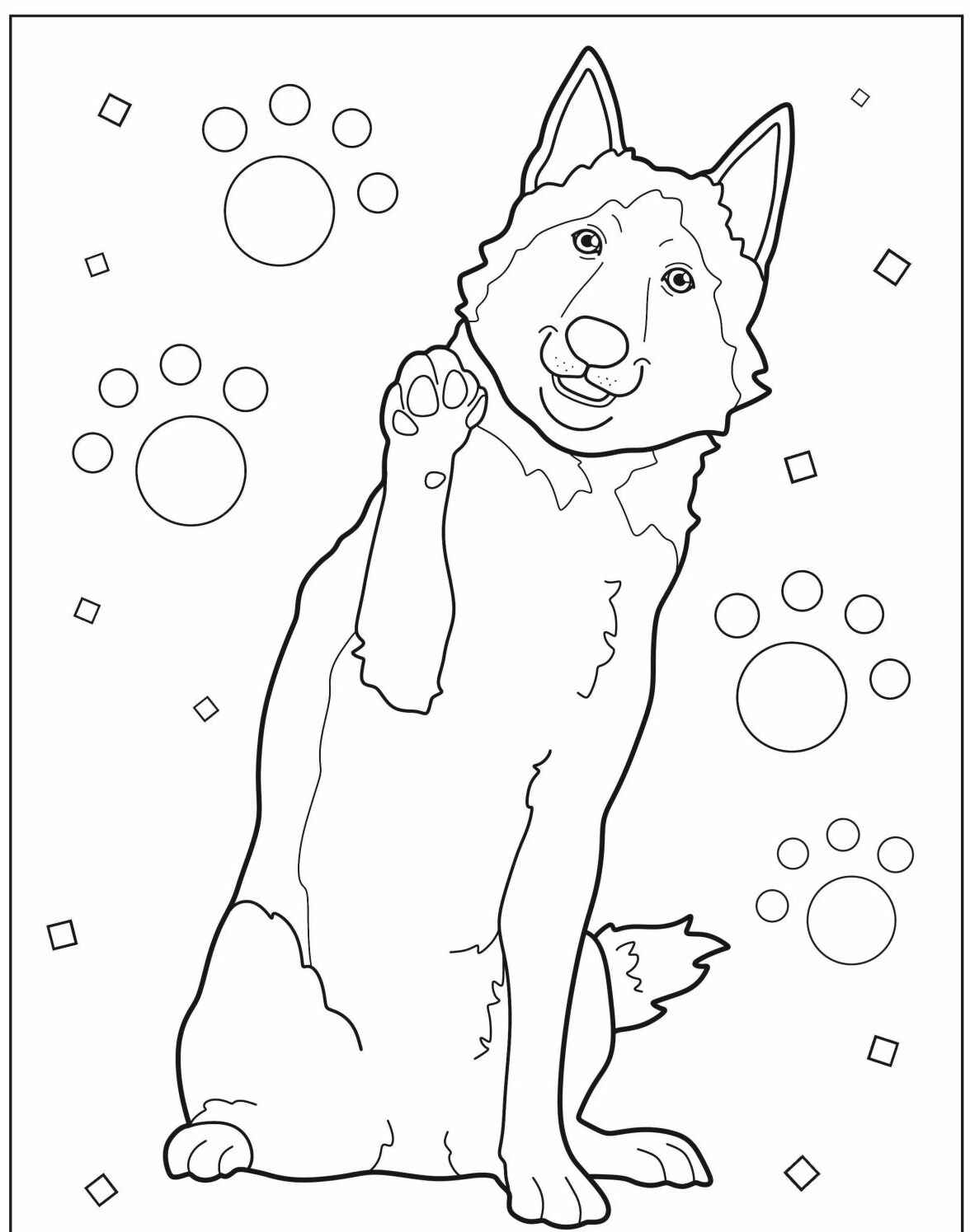 Desenho de Cachorro Husky para imprimir e colorir