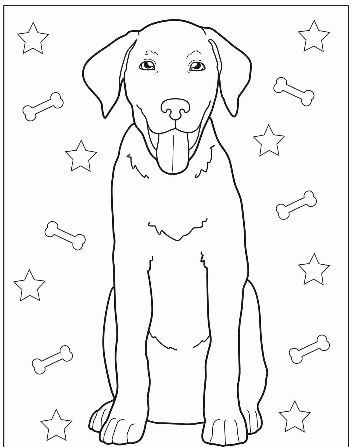 Desenho de Cachorro Labrador sentado para imprimir e colorir