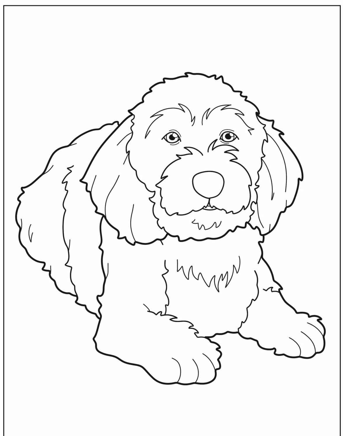 Desenho de Cachorro com pelagem longa para imprimir e colorir