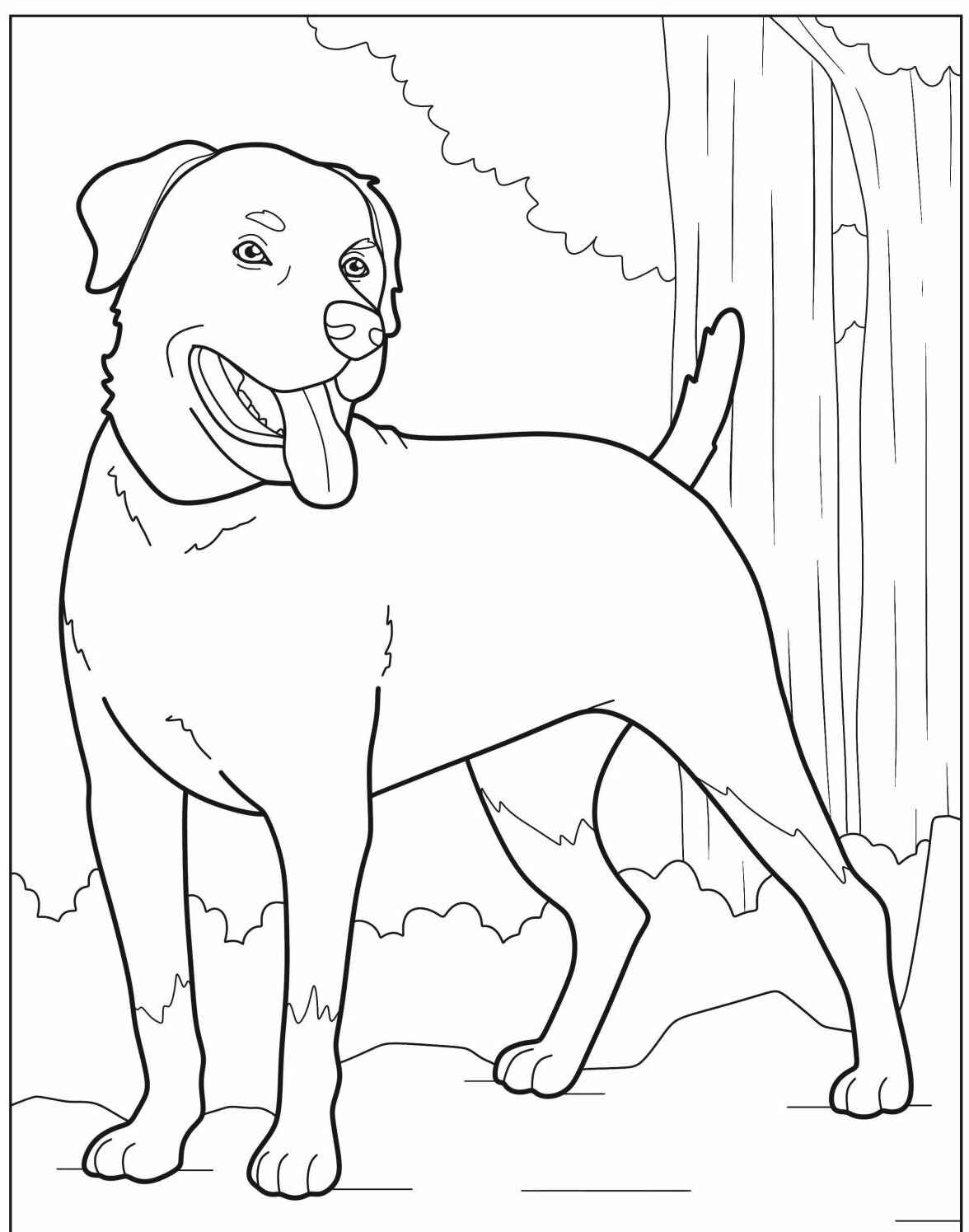 Desenho de Cachorro Labrador em pé para imprimir e colorir