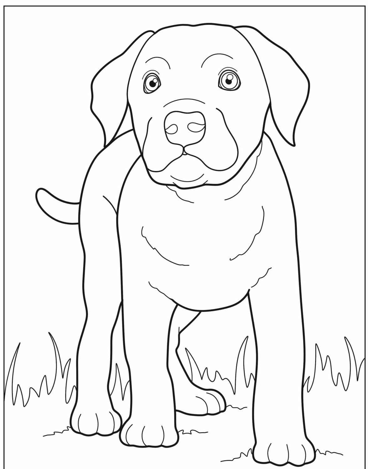 Desenho de Cachorro Labrador parado para imprimir e colorir