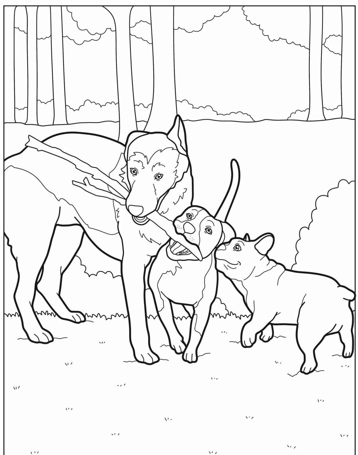 Desenho de Cachorros brincando no parque para imprimir e colorir