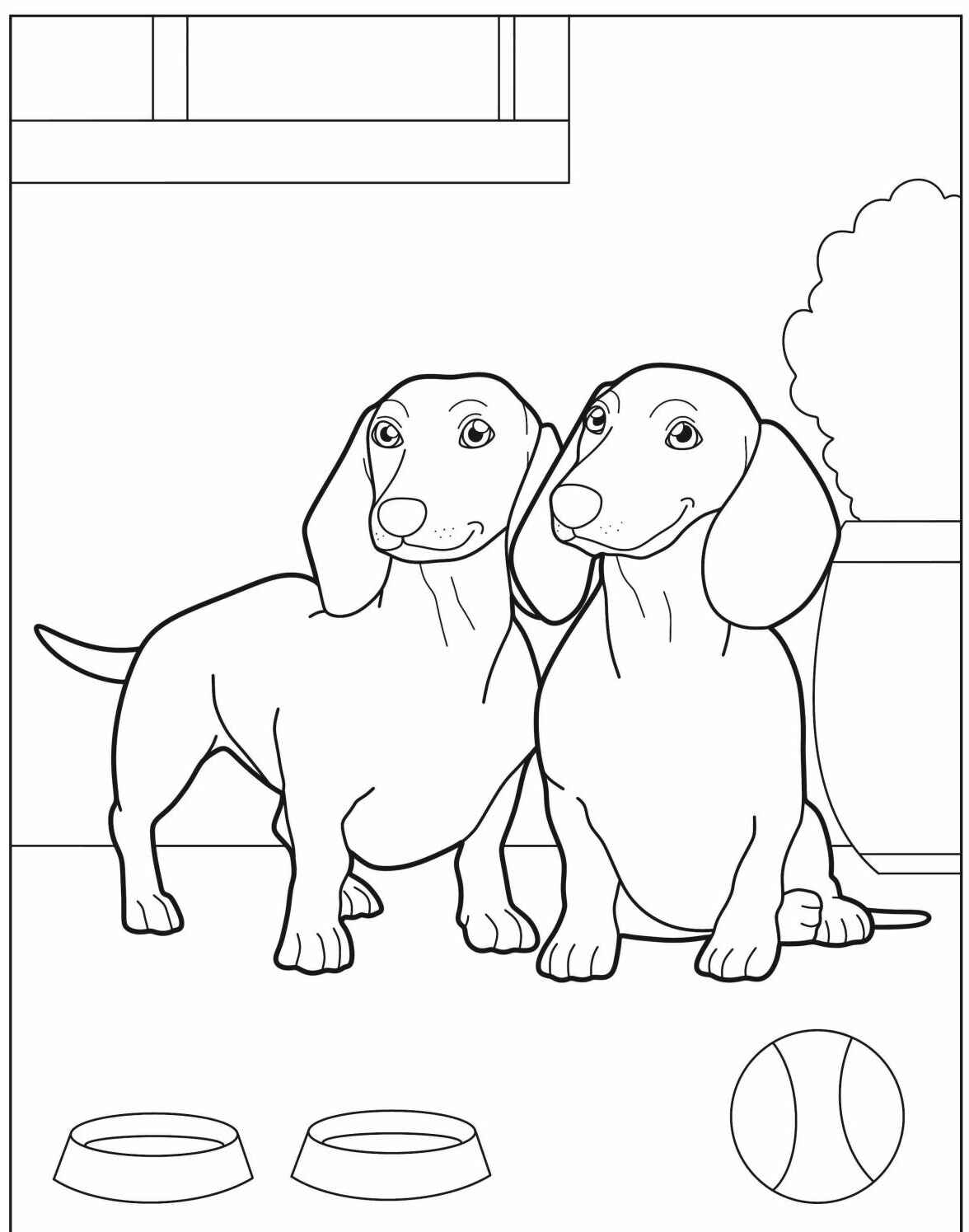 Desenho de Cachorros Dachshund para imprimir e colorir