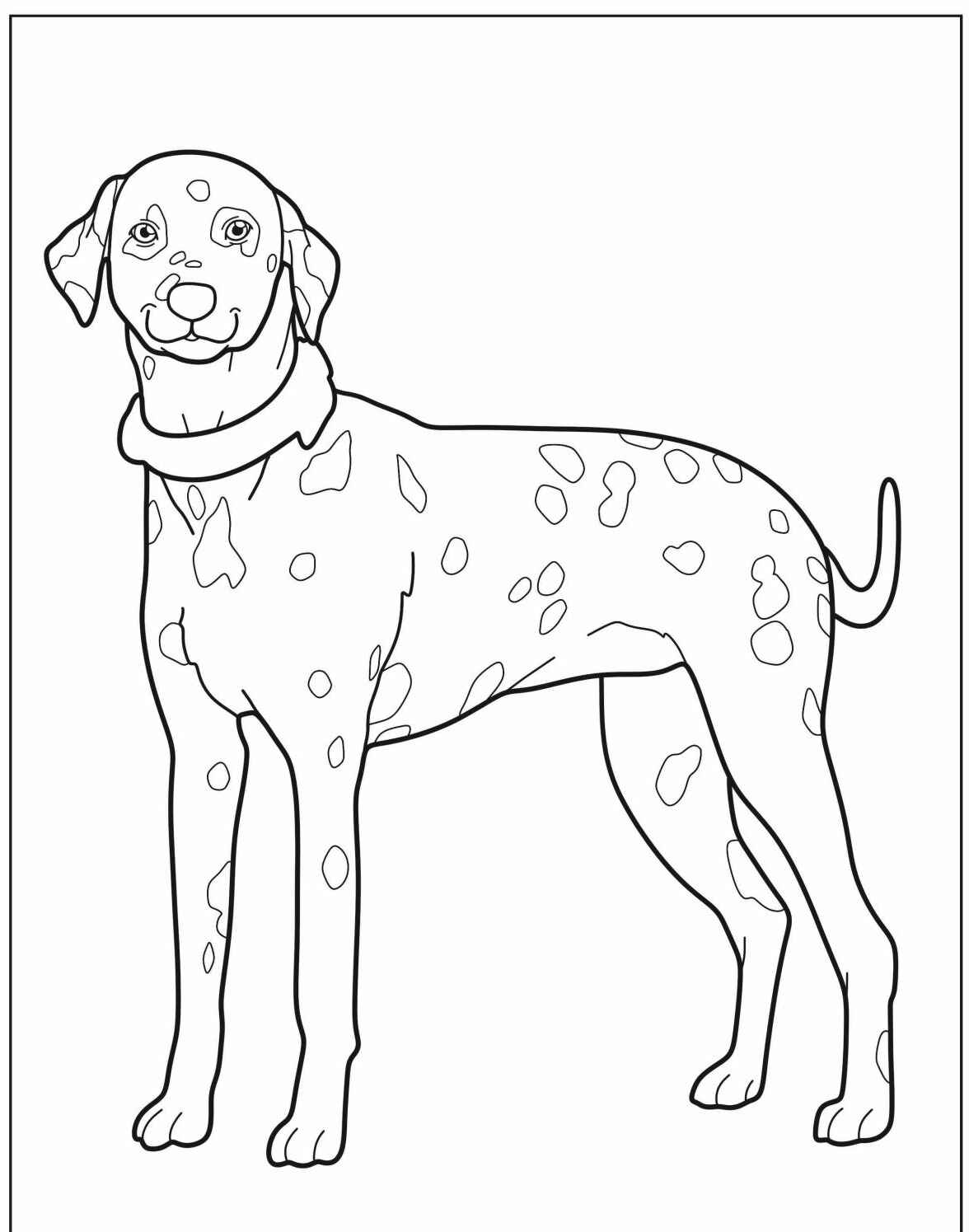Desenho de Cachorro Dalmatian para imprimir e colorir