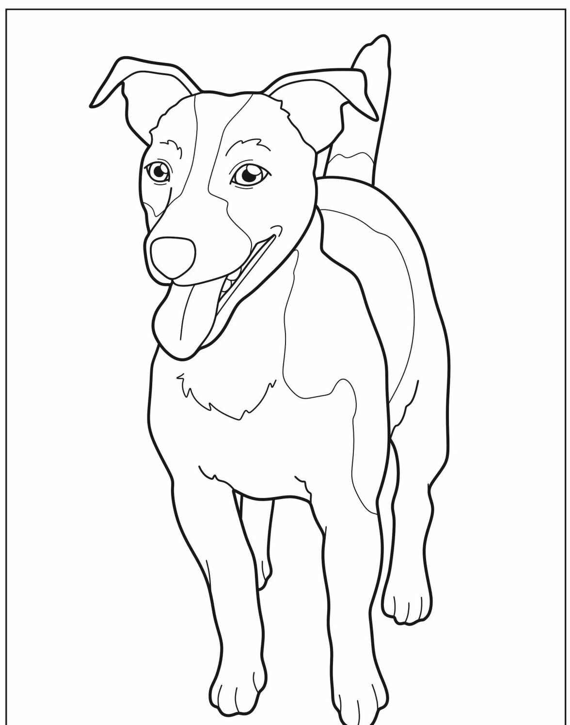 Desenho de Cachorro alegre correndo para imprimir e colorir