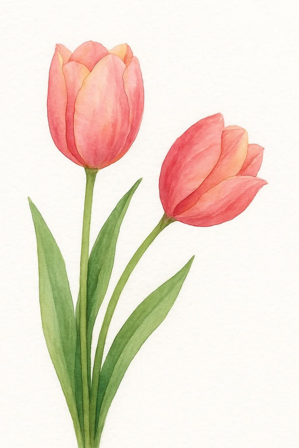 Desenho de Flores: Tulipas Fofas para desenhar
