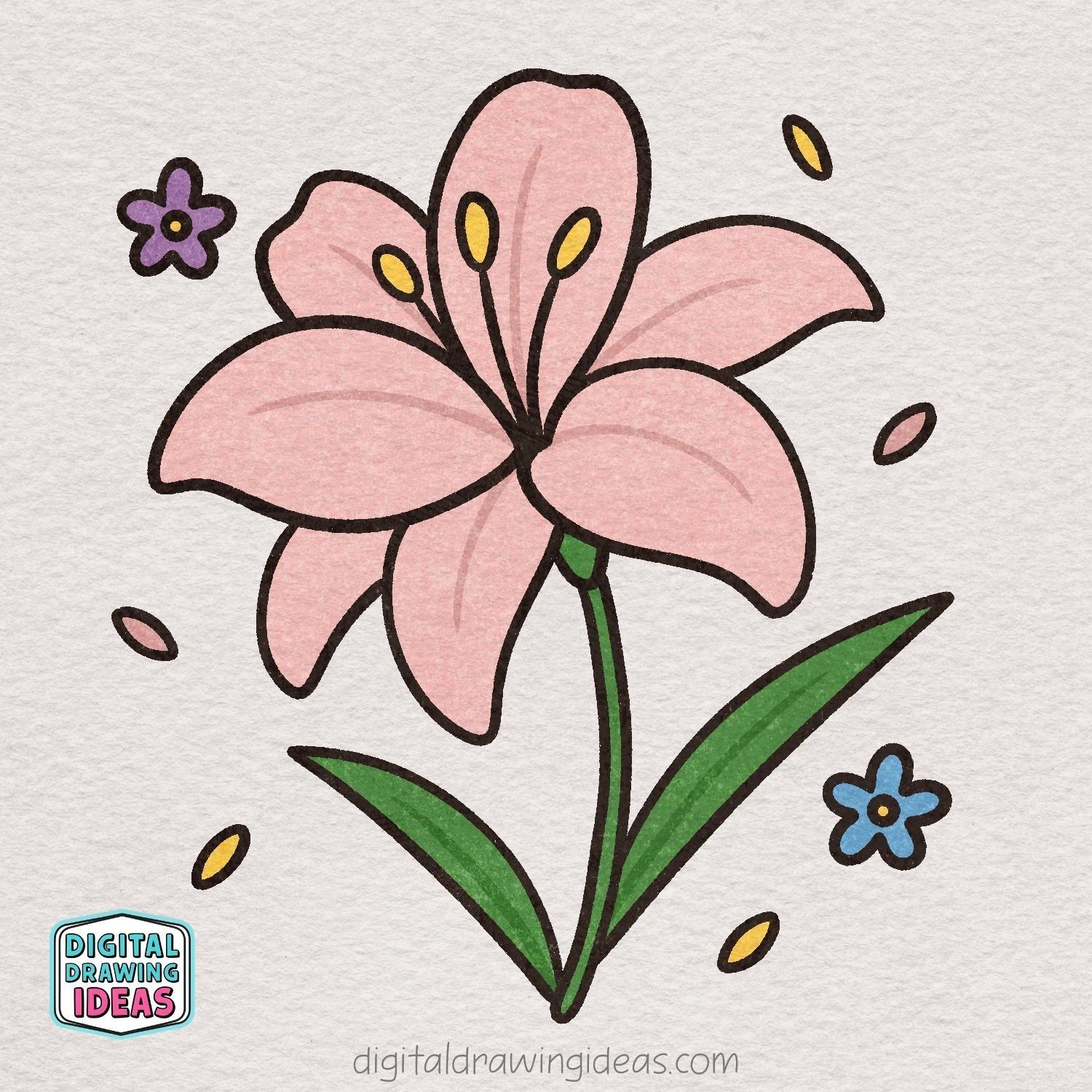 Desenho de Flores: Lírio rosa para desenhar