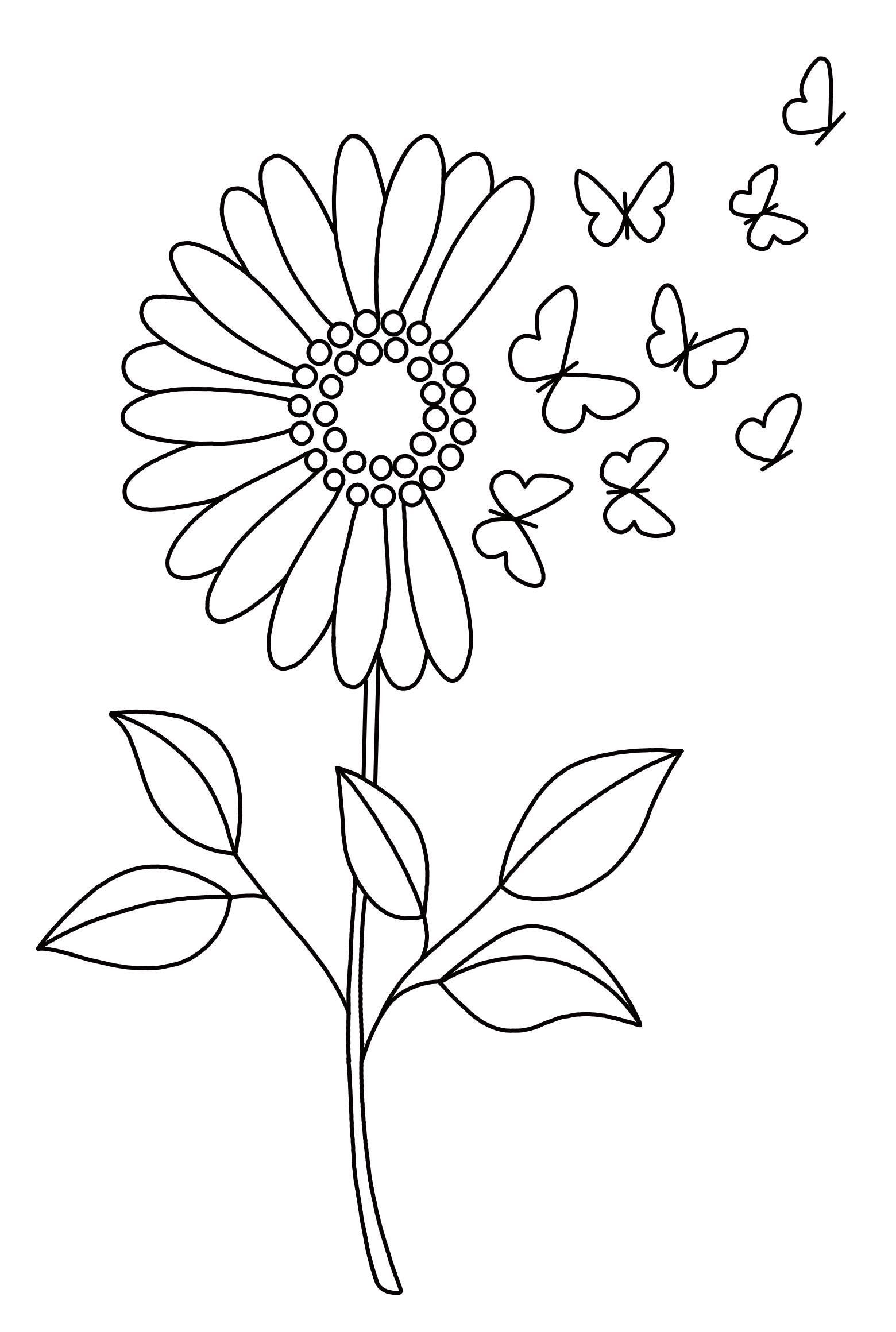 Desenho de Flores: Margarida com borboletas para desenhar