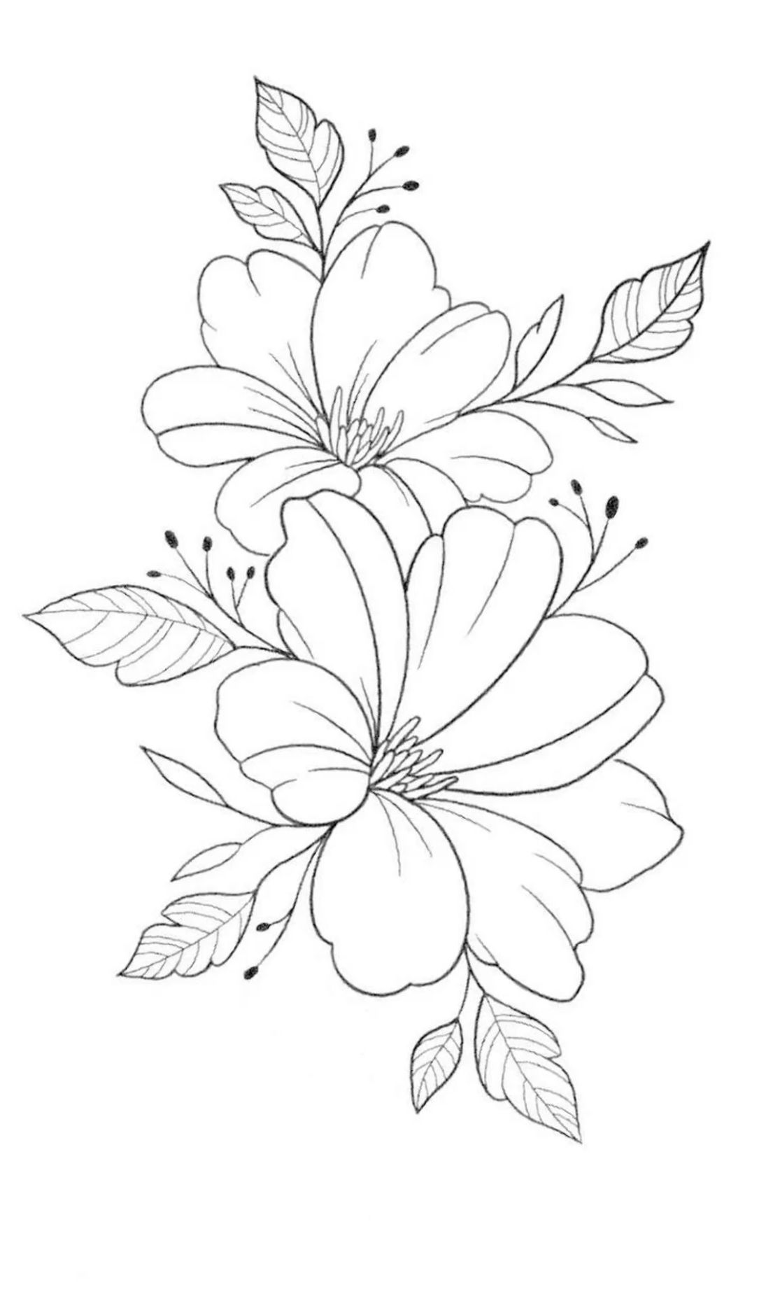 Desenho de Flores: Flor Simples para desenhar