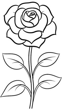 Desenho de Flores: Rosa para desenhar