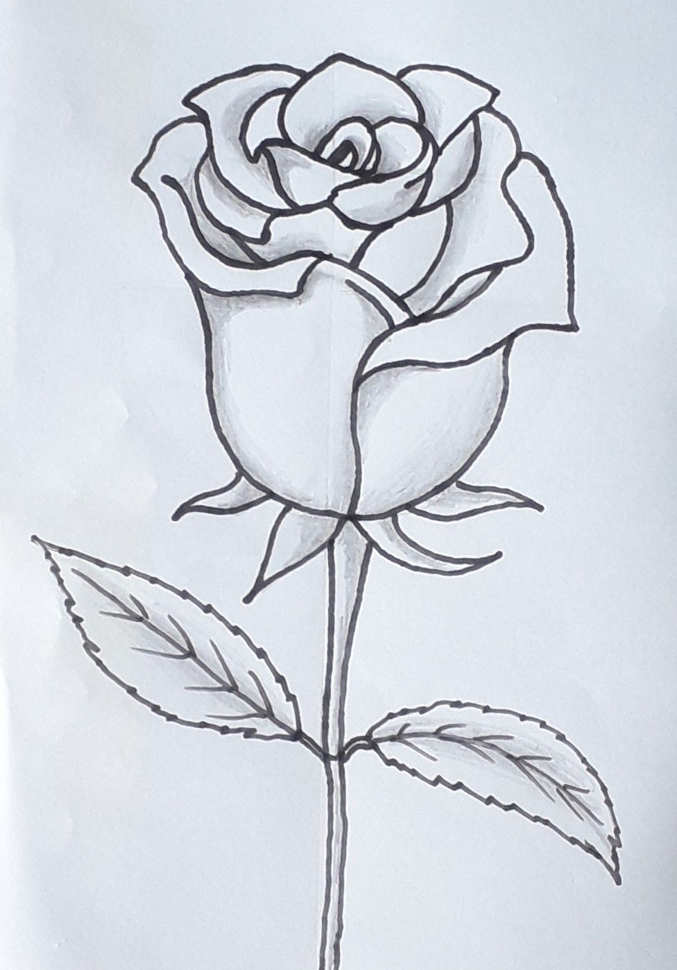 Desenho de Flores: Rosa Realista para desenhar