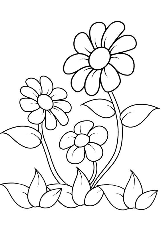 Desenho de Flores: Flores Simples para desenhar