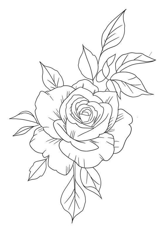 Desenho de Flores: Rosa simples para desenhar