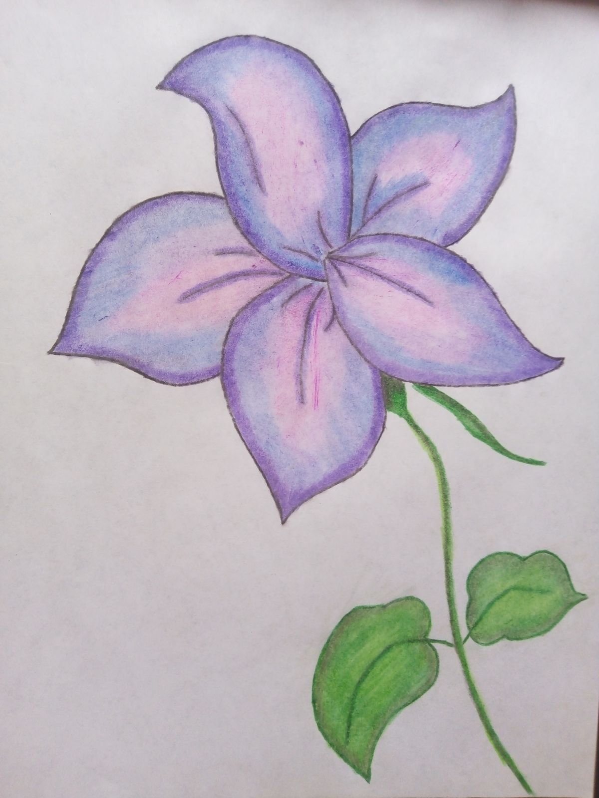 Desenho de Flores: Flor Roxa para desenhar