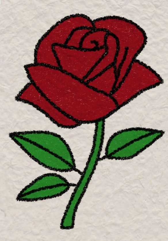 Desenho de Flores: Rosa para desenhar