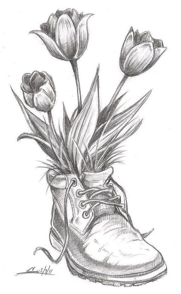 Desenho de Flores: Tulipas em um sapato para desenhar