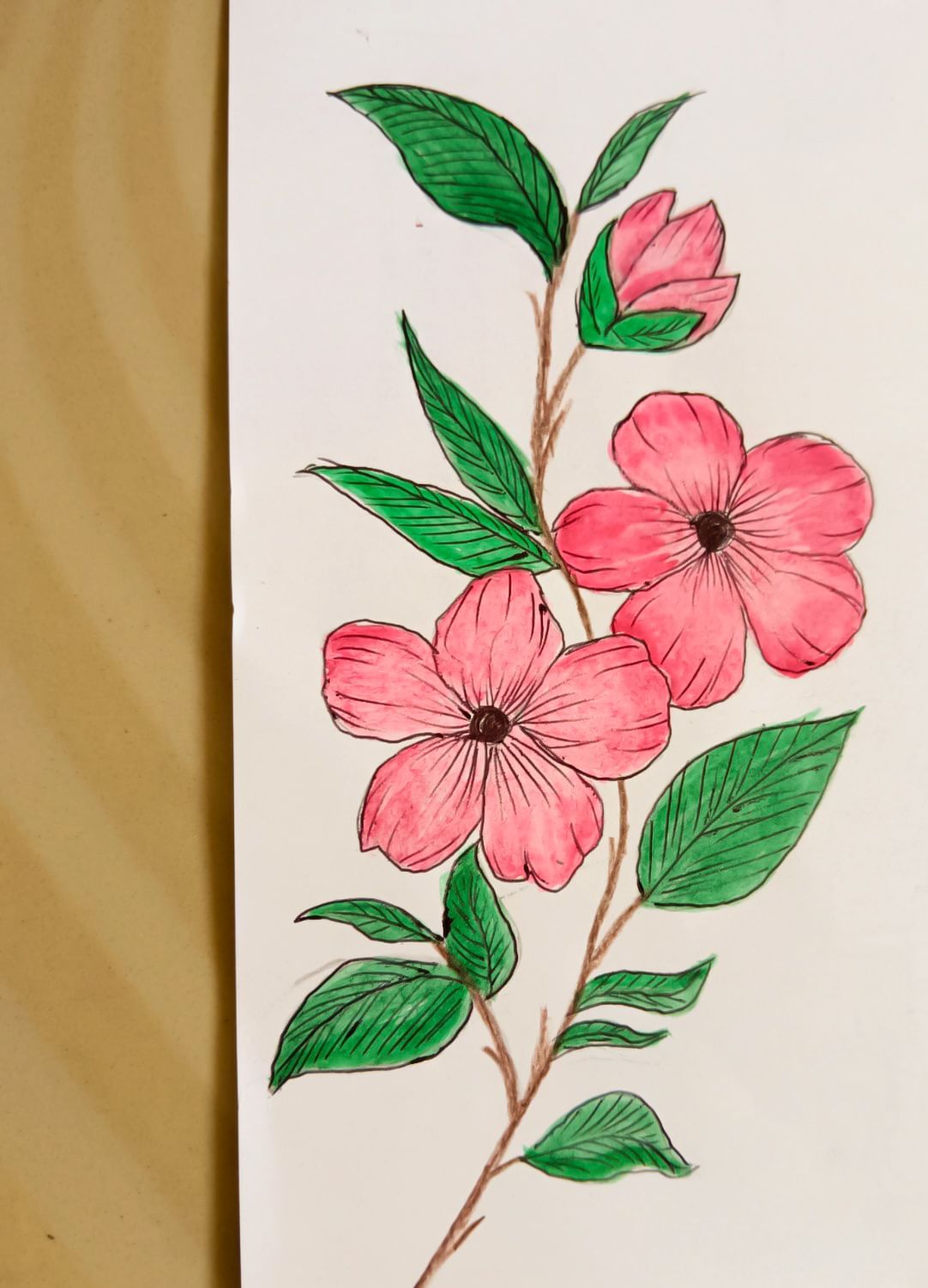 Desenho de Flores: Flores Rosadas para desenhar