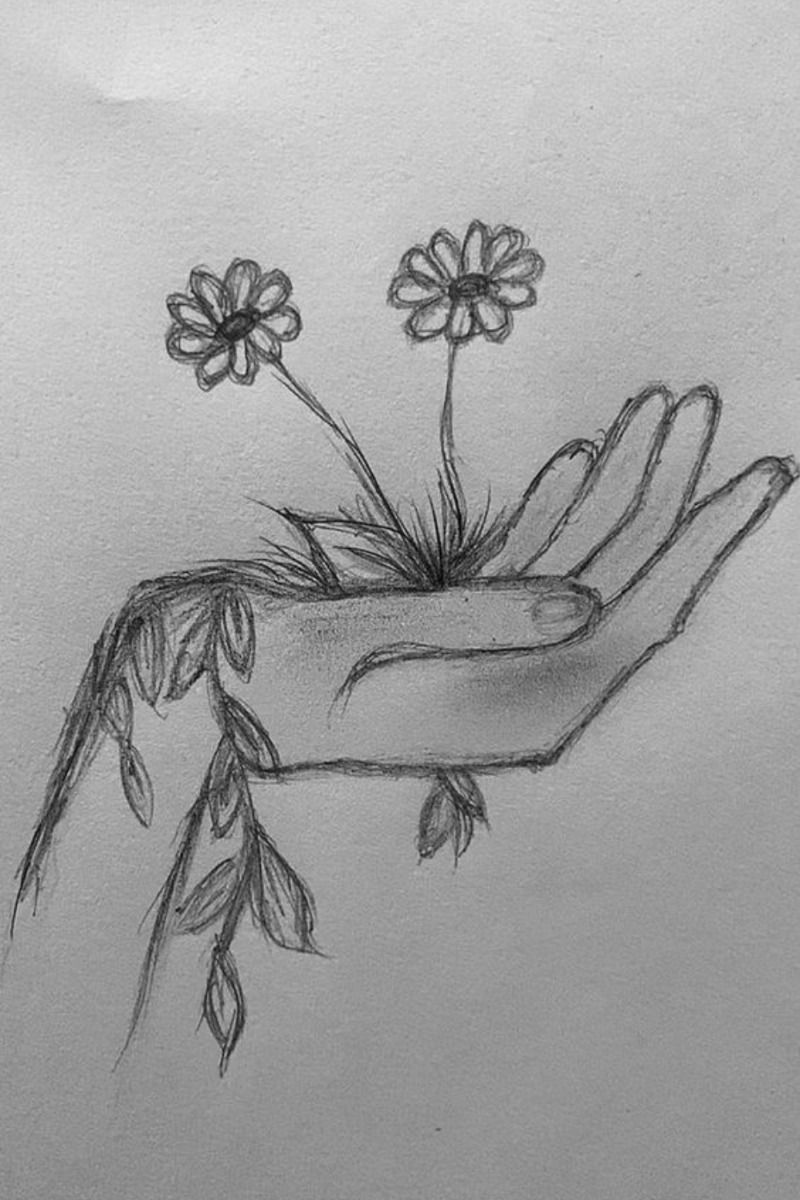 Desenho de Flores: Mão segurando flores para desenhar