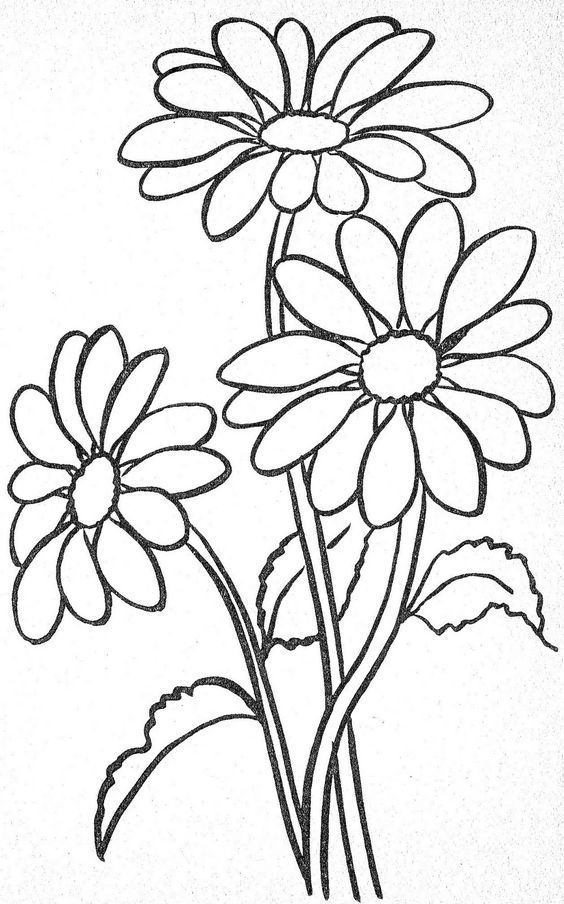 Desenho de Flores: Margaridas para desenhar
