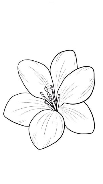 Desenho de Flores: Flor Simples para desenhar