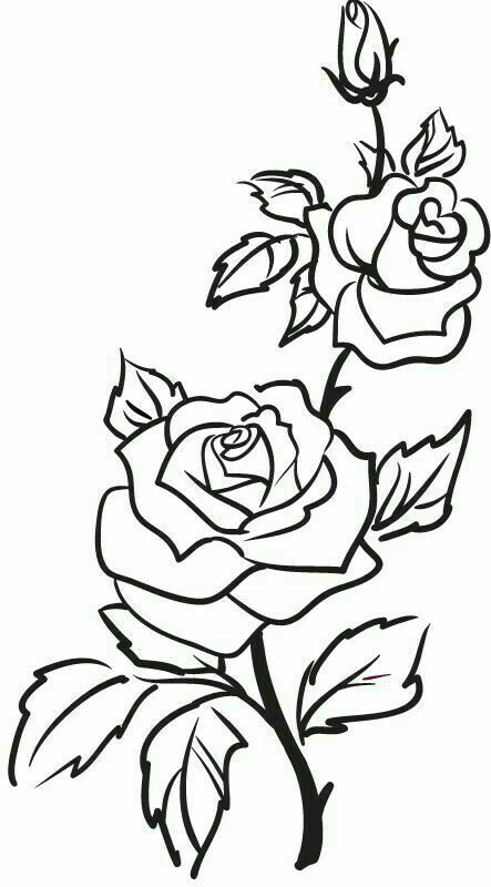 Desenho de Flores: Rosa para desenhar de forma realista