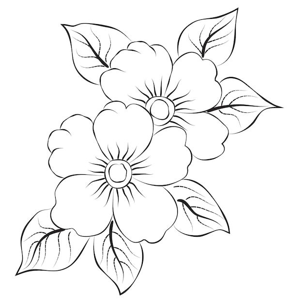 Desenho de Flores: Duas Flores para desenhar