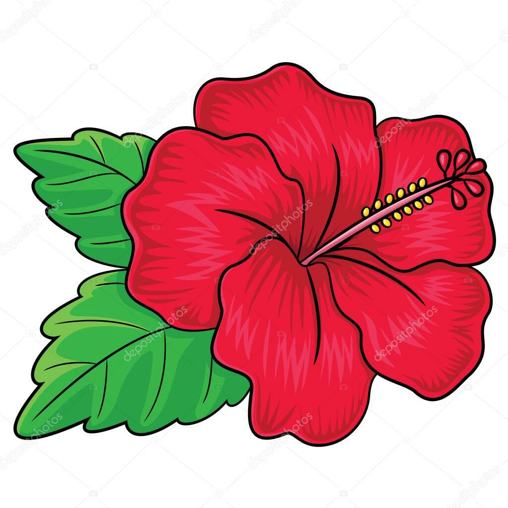Desenho de Flores: Hibisco vermelho para desenhar