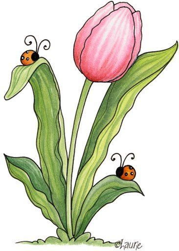 Desenho de Flores: Tulipa Rosa para desenhar