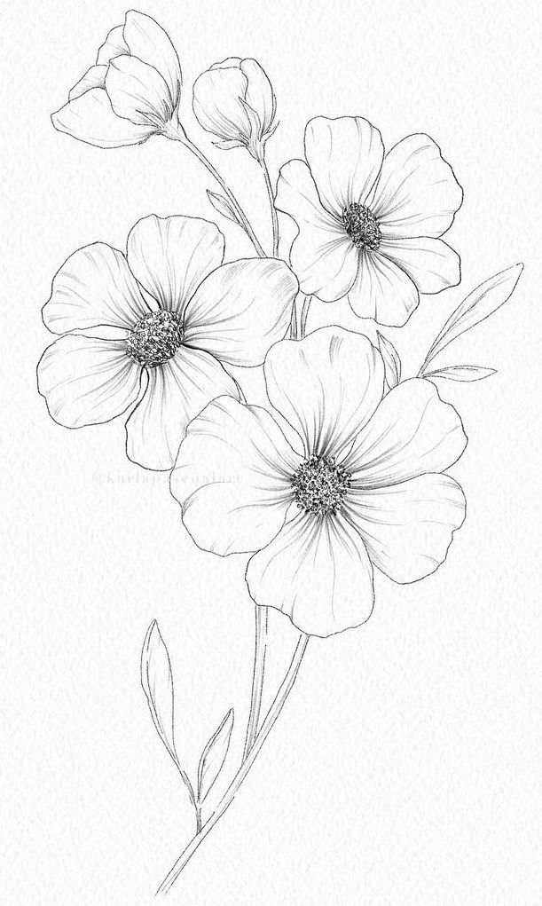 Desenho de Flores: Flores Simples para desenhar