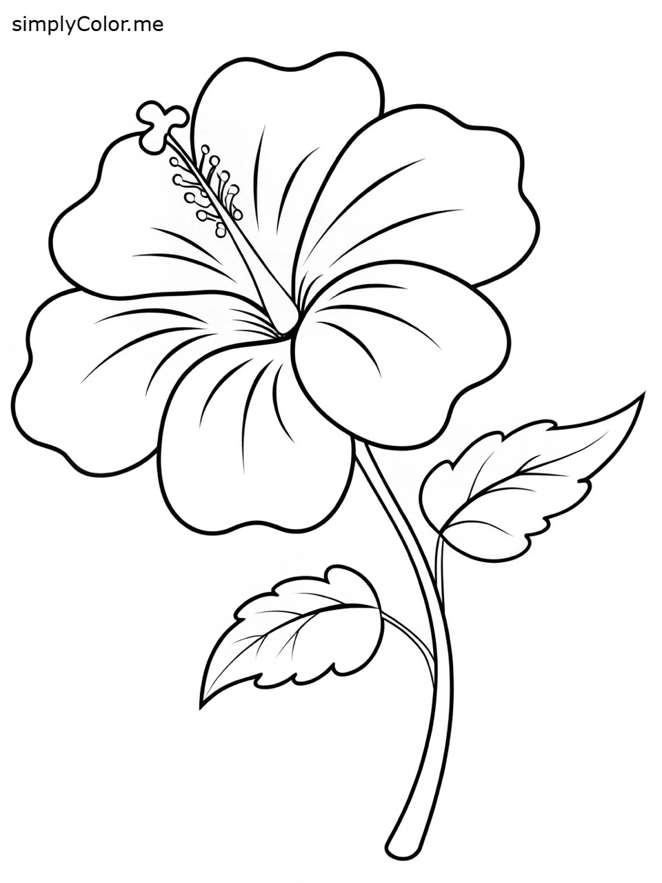 Desenho de Flores: Flor de Hibisco para desenhar