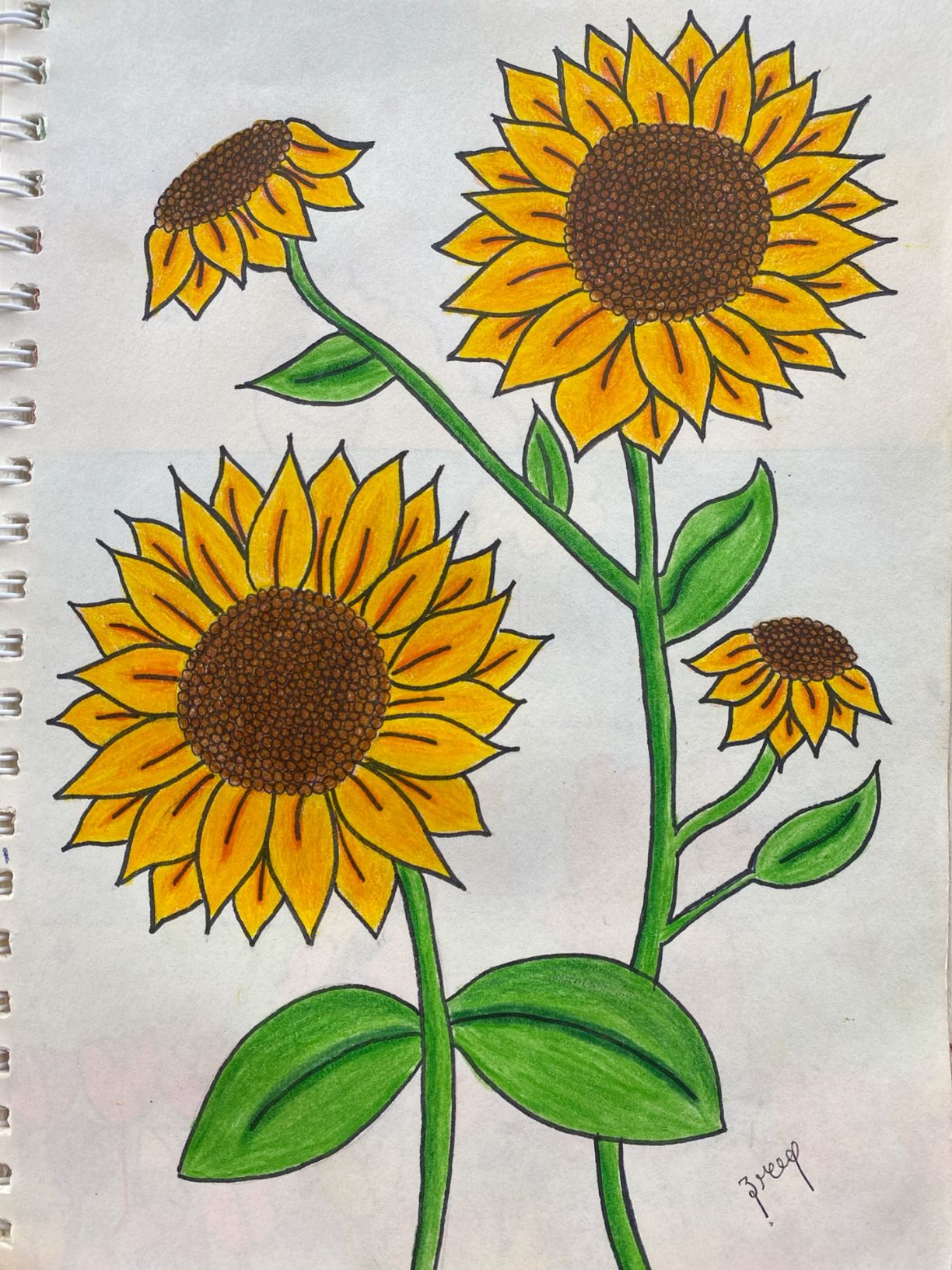 Desenho de Flores: Girassol para desenhar