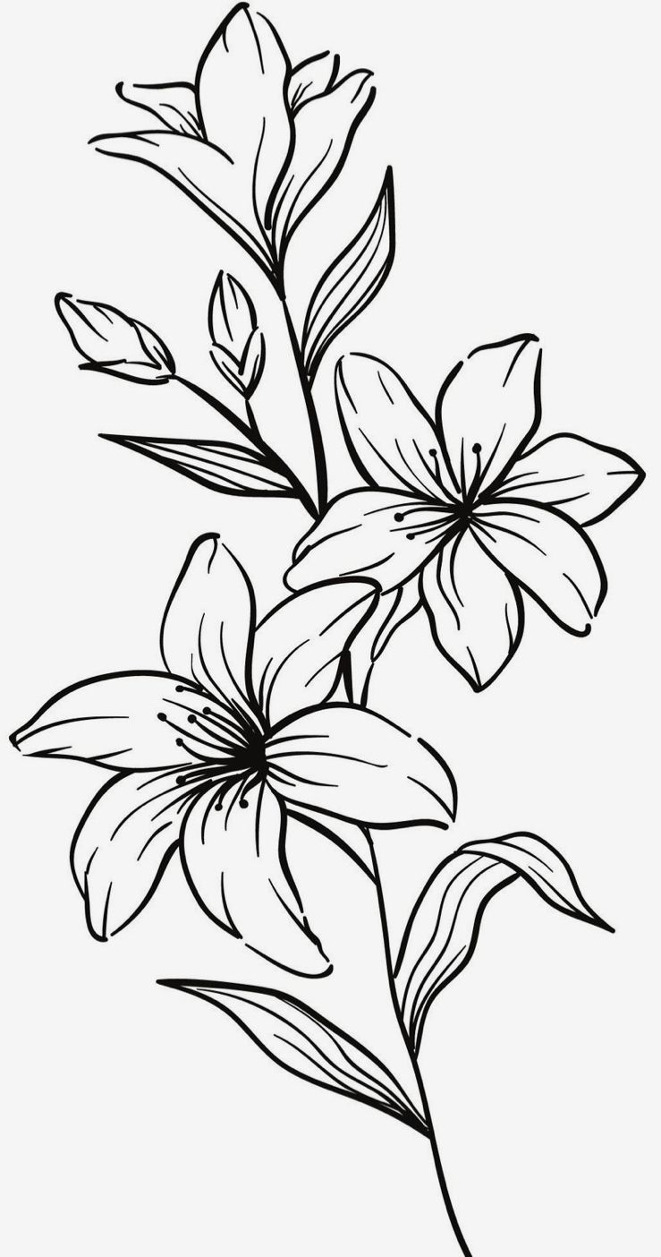 Desenho de Flores: Lírio para desenhar de forma simples