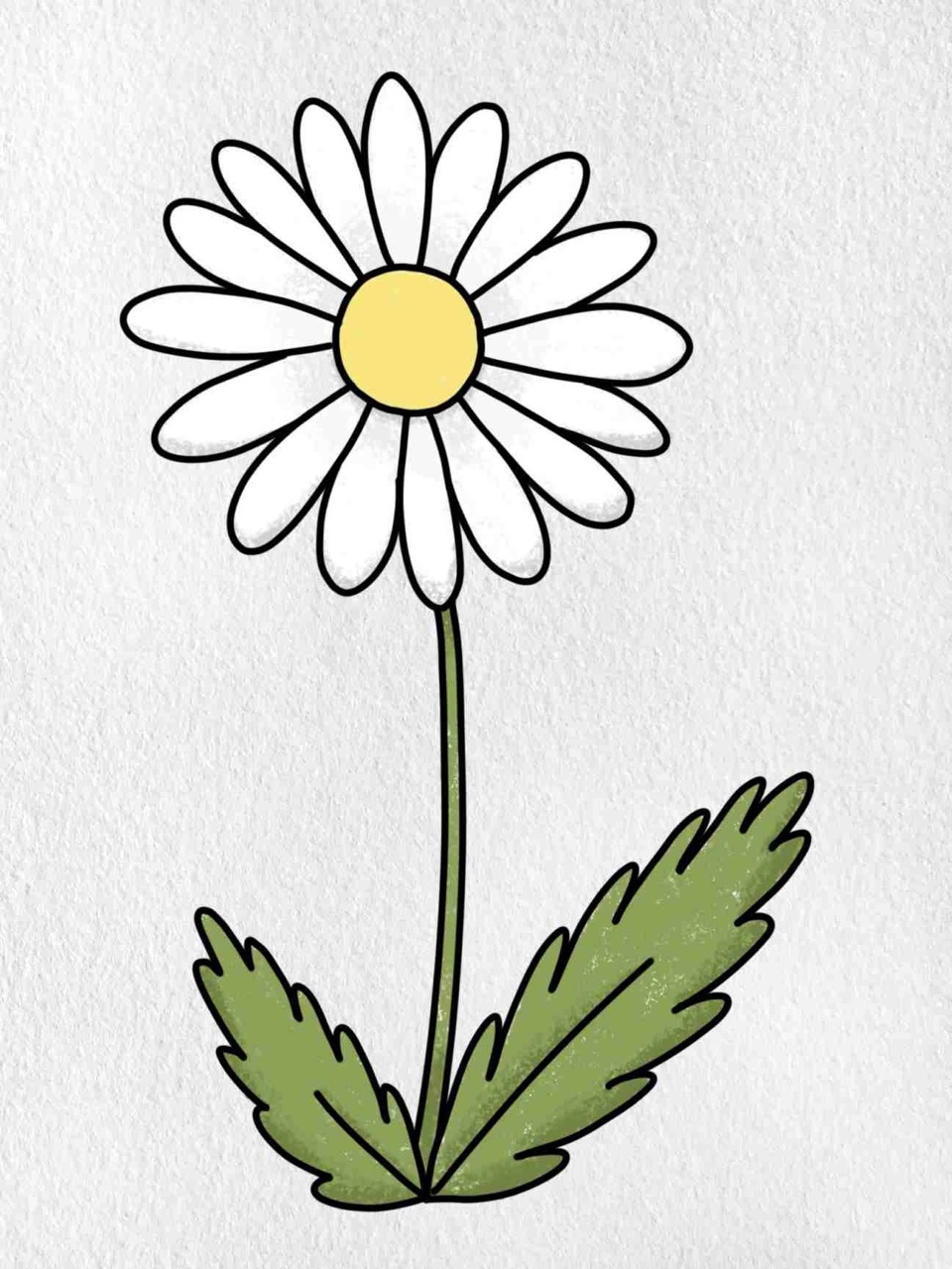 Desenho de Flores: Margarida para desenhar