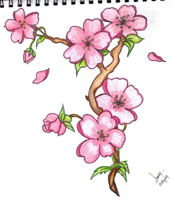 Desenho de Flores: Flor de Cerejeira para desenhar
