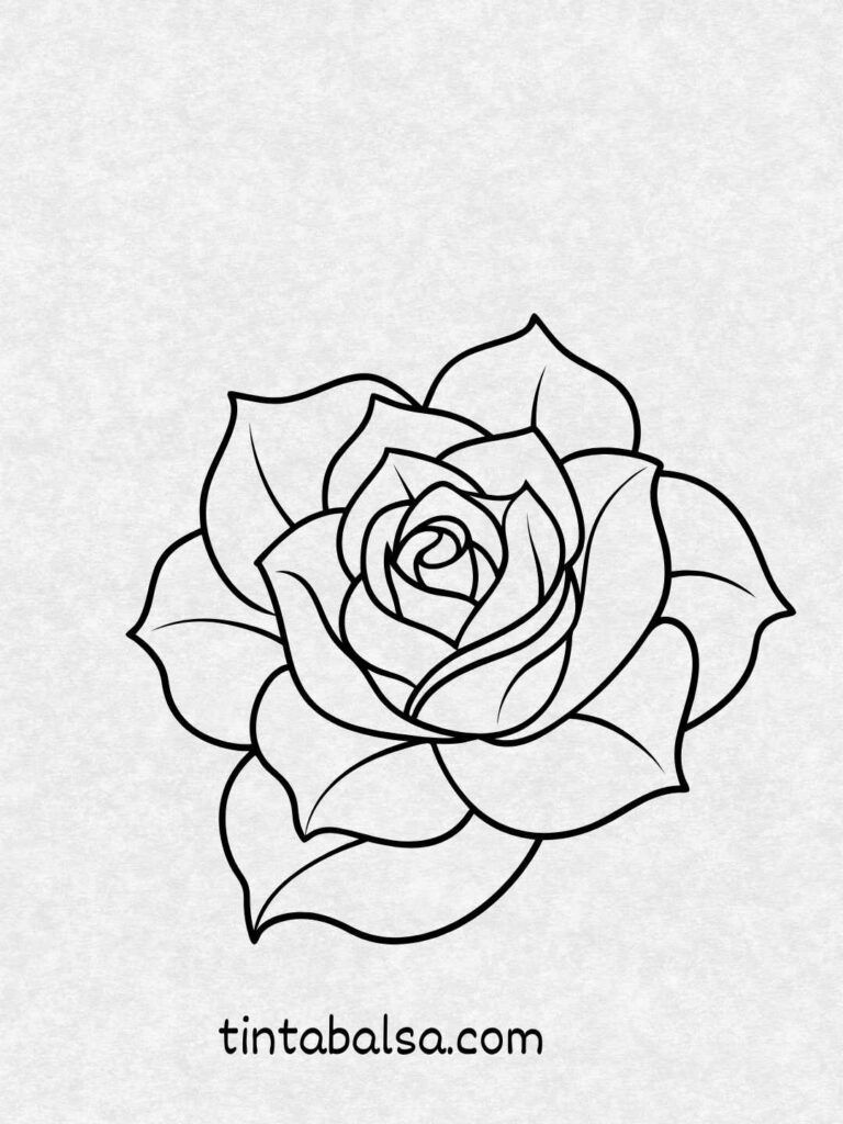 Desenho de Flores: Rosa bonita para desenhar