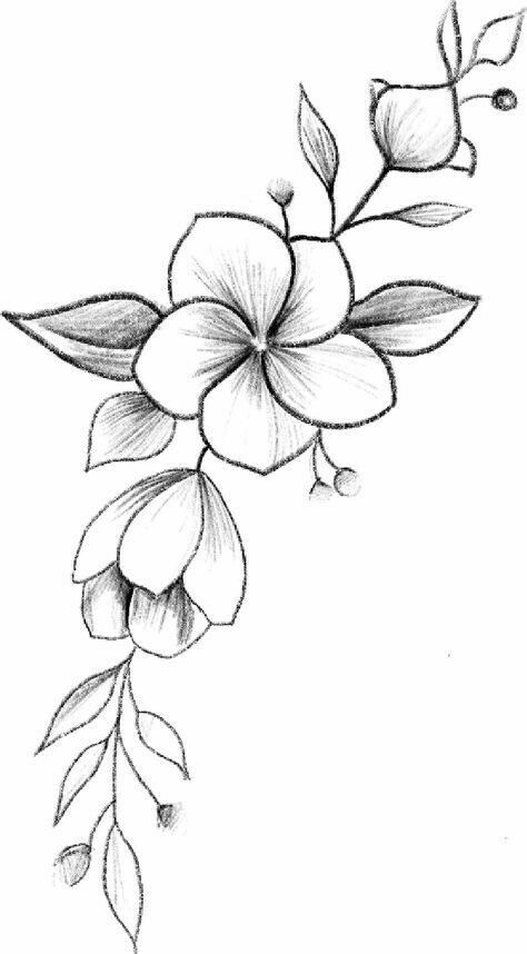 Desenho de Flores: Flor Realista a Lápis para desenhar