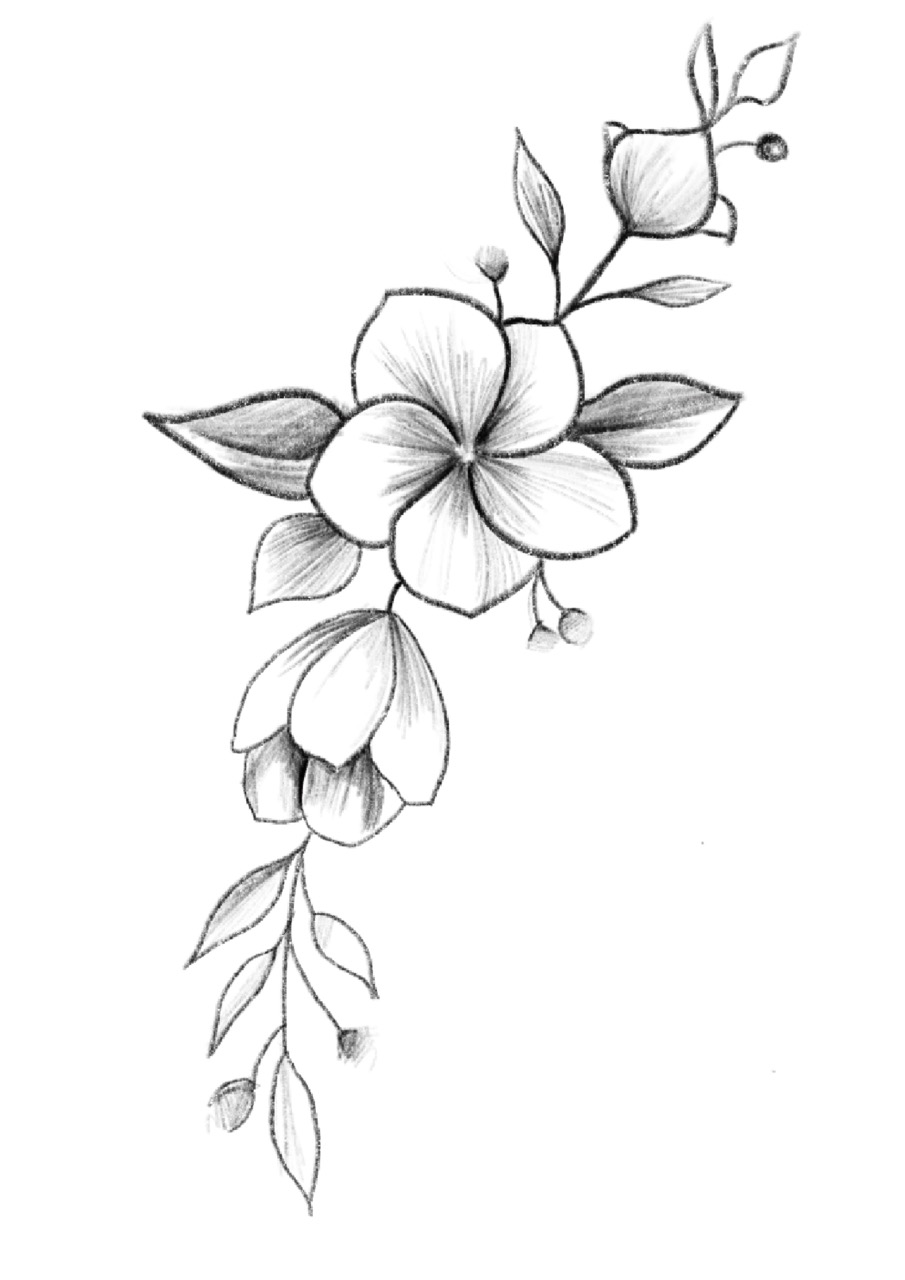 Desenho de Flores: Flor com folhas para desenhar