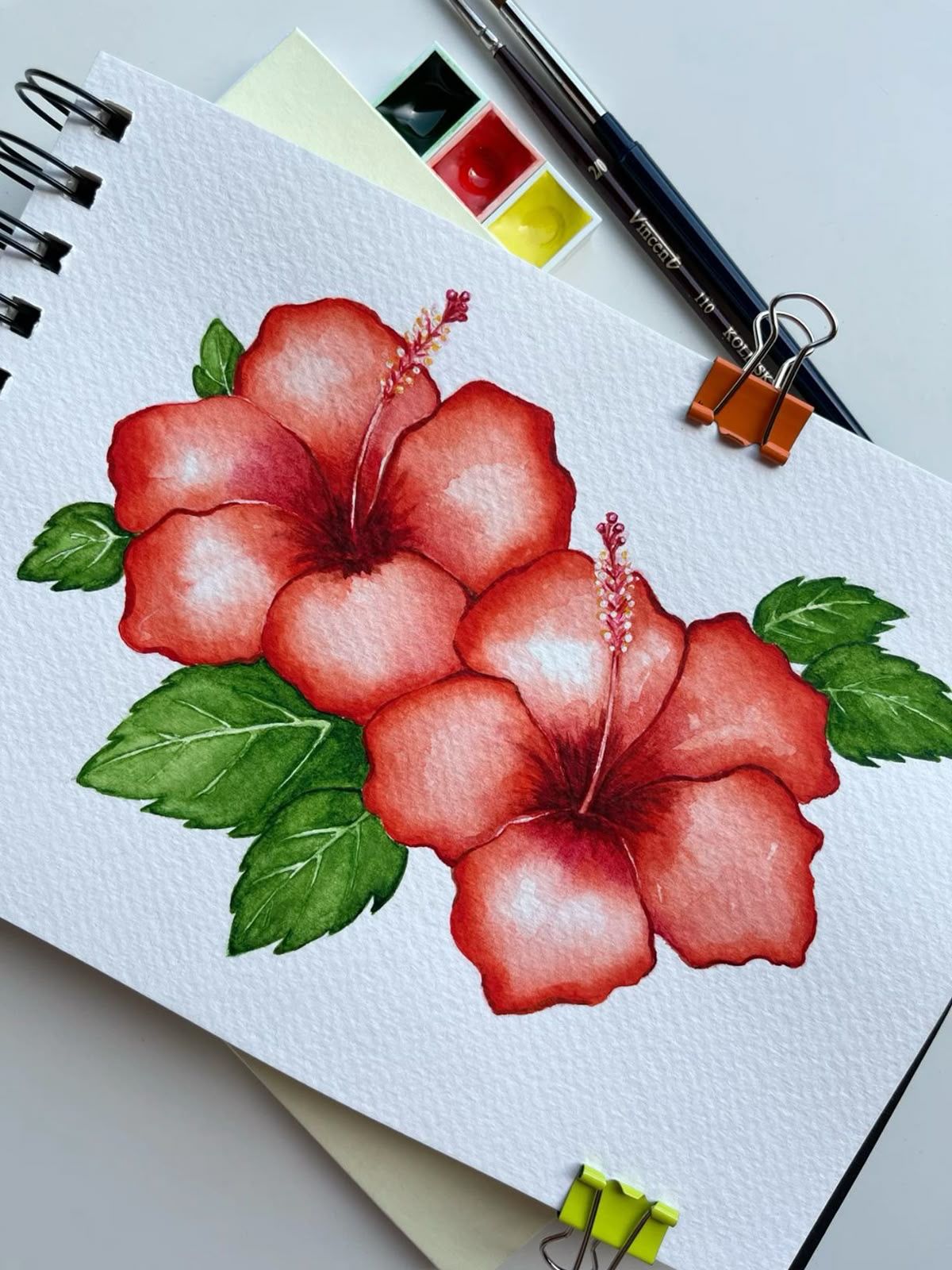 Desenho de Flores: Hibisco para desenhar