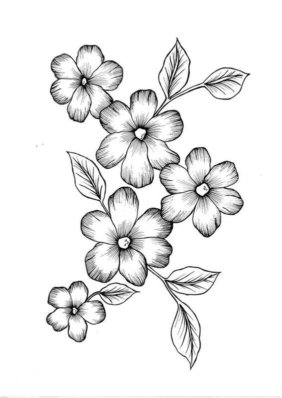 Desenho de Flores: Flores Simples para desenhar