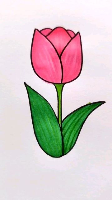 Desenho de Flores: Tulipa Rosa para desenhar
