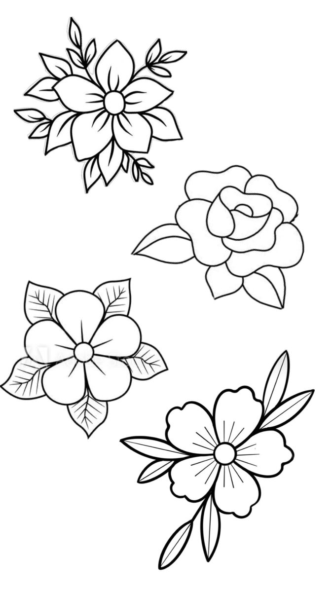 Desenho de Flores: Flores variadas para desenhar